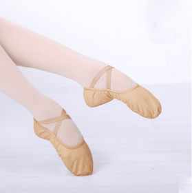 Girls Ballet Shoes Canvas Soft Sole Ballet Dance Slippers Children Practise Ballerina Shoes Woman Dance Shoes (Color: Tan, size: 24 (16cm))